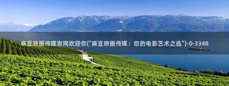 麻豆传媒官网软件:麻豆映画传媒官网欢迎你(\